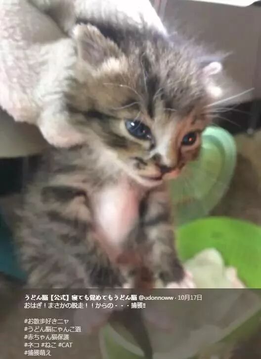 未名天日语学习 自由微信 FreeWeChat