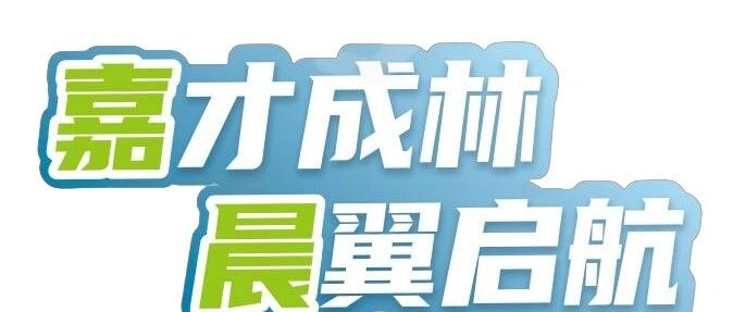 嘉晨电子2026届实习