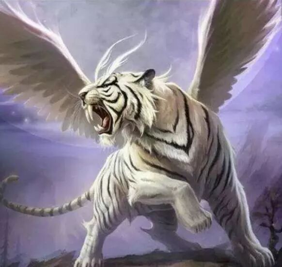 详解风水学中的白虎煞