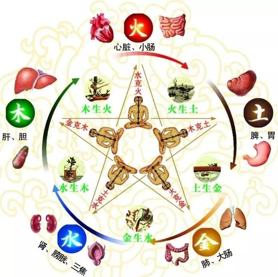 五脏六腑最怕什么?你一定要知道!