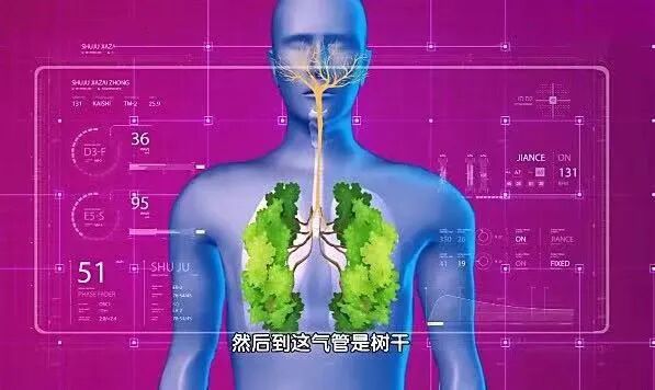 ѩ�桢���˶����������ӳ�Ƥ��ʤ��6����Ȼʳ�ġ���ÿ��1�飬������ˬ~