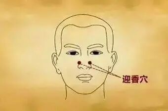 柳絮纷飞季恼人的过敏性鼻炎又来了坚持按摩和艾灸这些穴位你绝不后悔