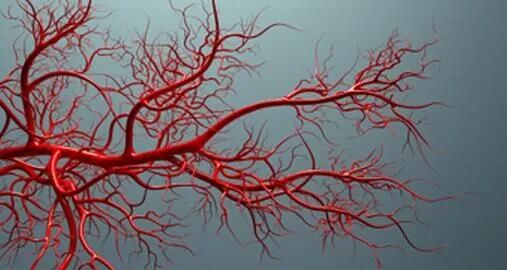 微波治疗有什么作用创伤小，疗效好，副作用少！微波治疗，不开刀也能让肿瘤消消乐_https://www.jmylbn.com_新闻资讯_第4张