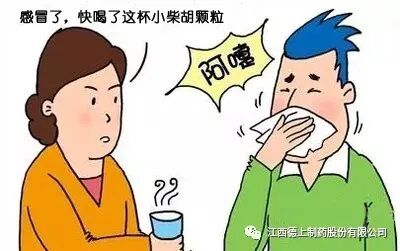 小柴胡治疗感冒的经典用法