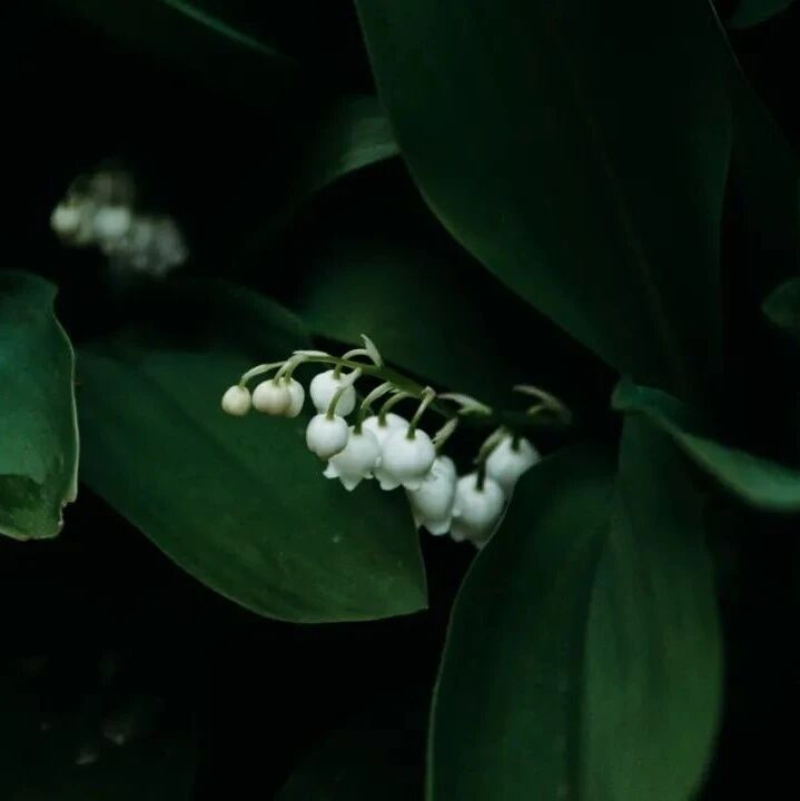 说话的方式，决定一生的运势