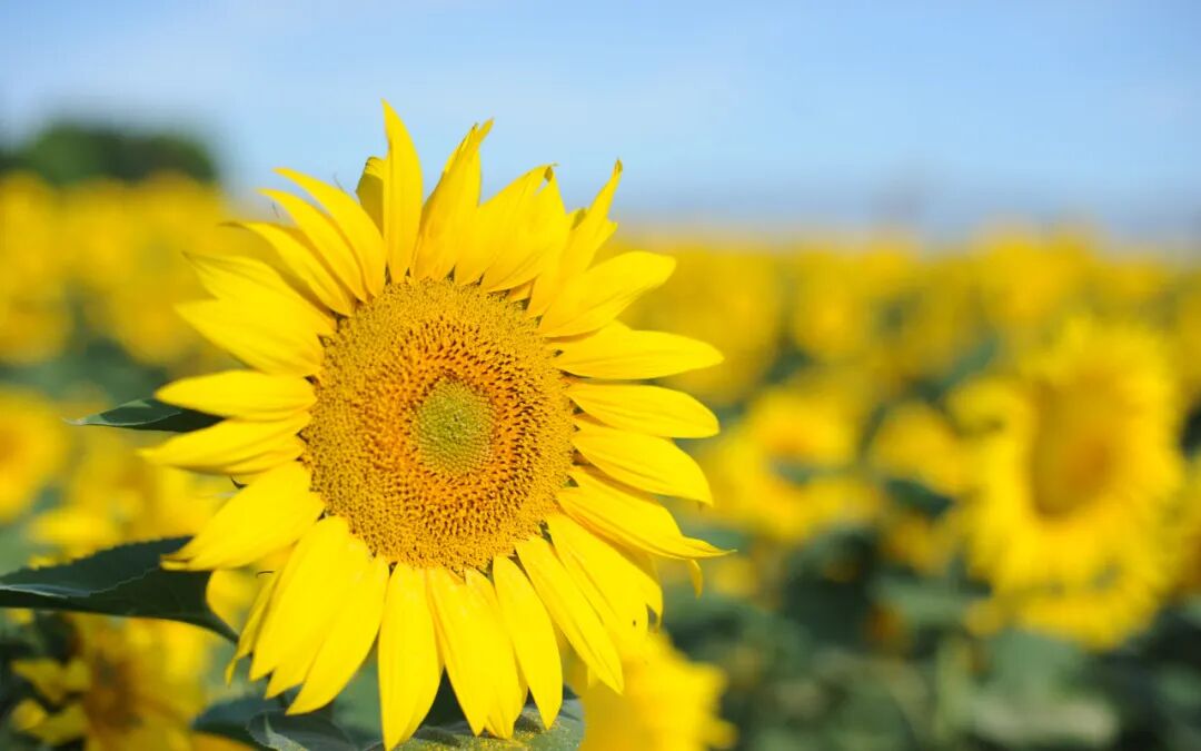 好好活着，是一种责任