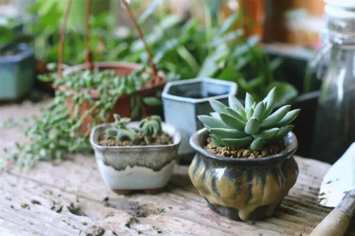 鱼那么信任水， 水却煮了鱼! 我看了20遍！