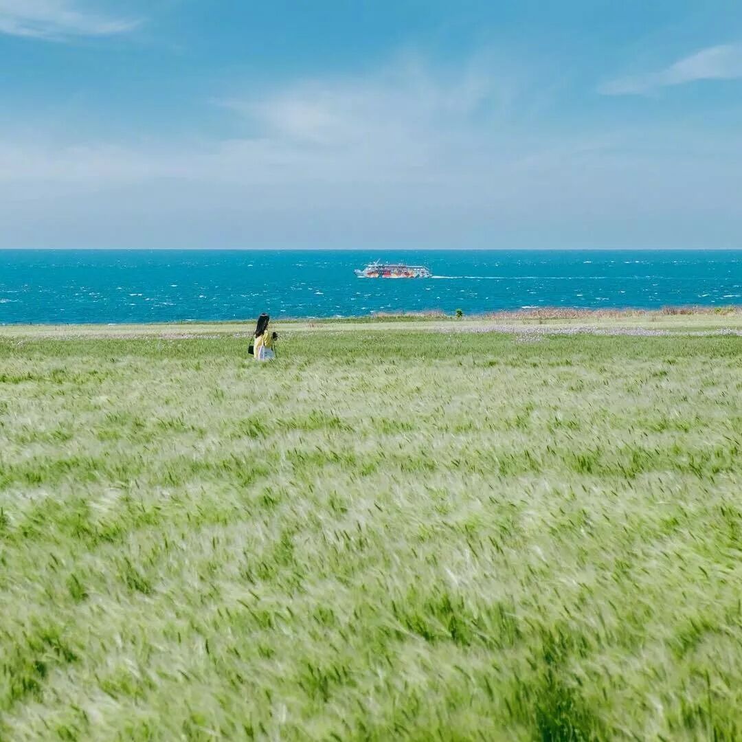 早听：写给朋友圈的你