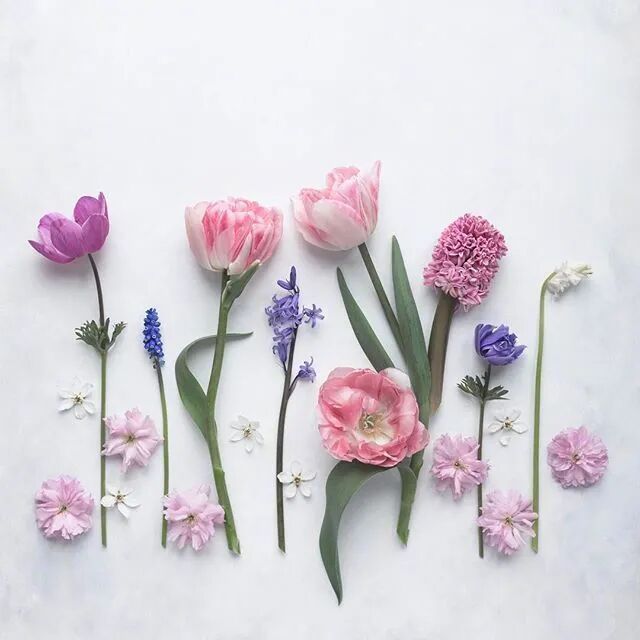 人生：就是一路选择，一路坚持