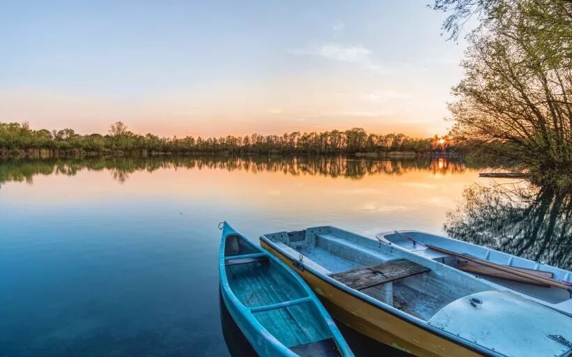 永远不要吃烂梨