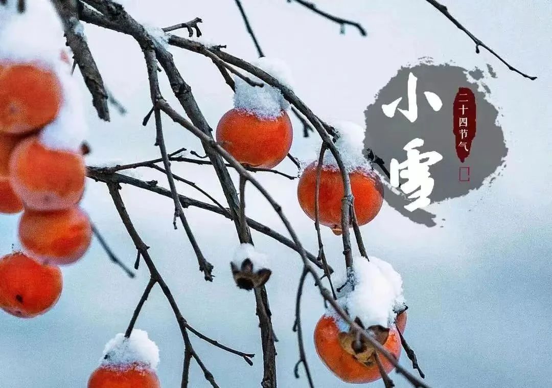 今日小雪丨天漸寒,情更暖,落雪為念,願君冬安 - 詩詞天地 - 瓦斯閱讀