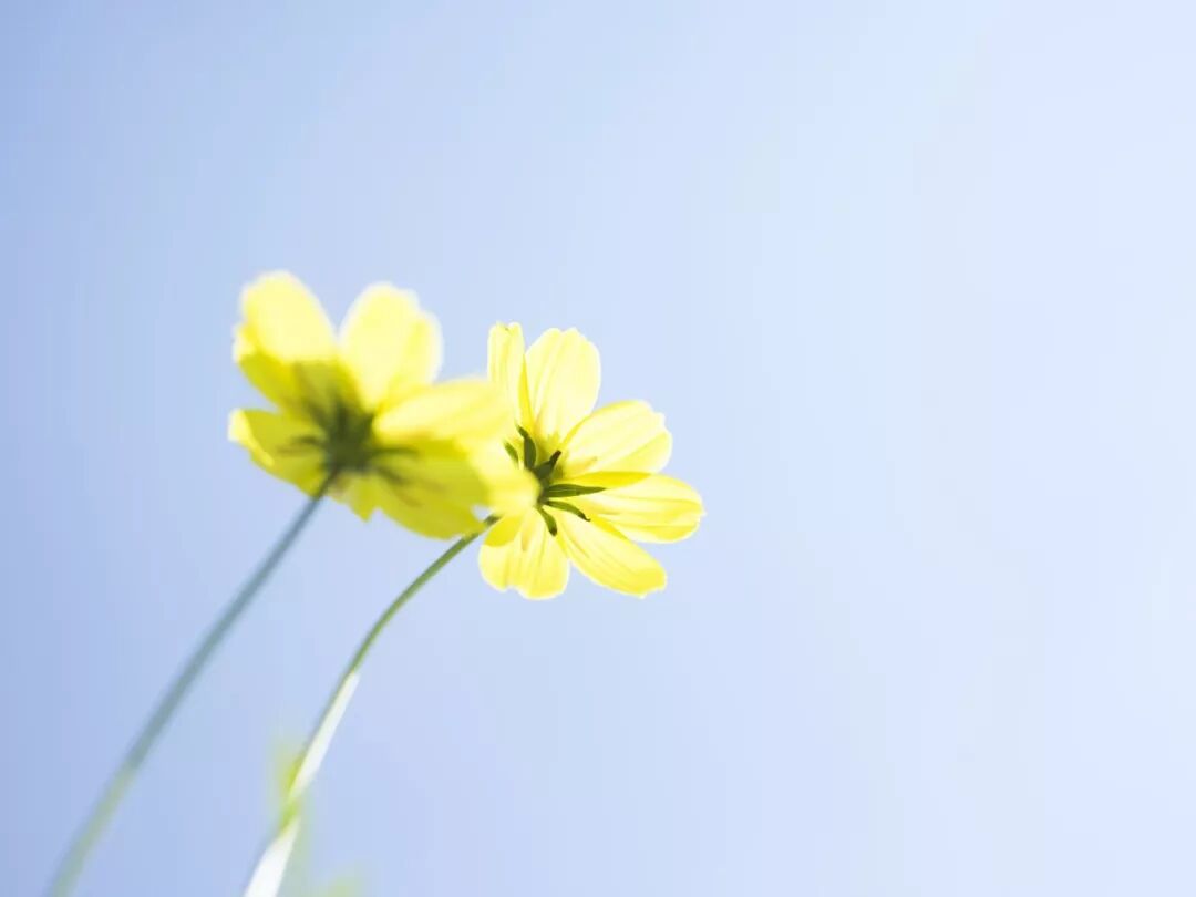 有一种高级的修养，叫遇事不指责！