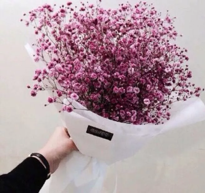 三八女神节:愿你芳华自在,愿你笑靥如花 三八女神节:愿你芳华自在,愿你笑靥如花