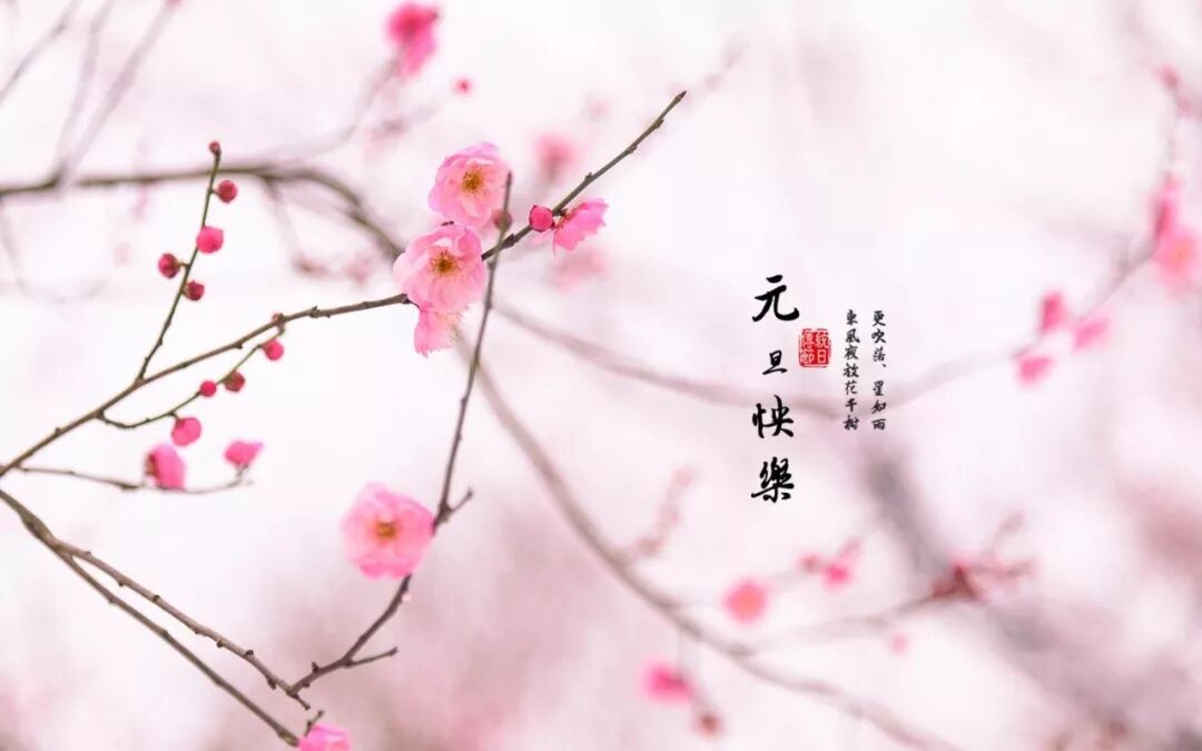 2020年：愿世间所有的美好，都与你环环相扣！