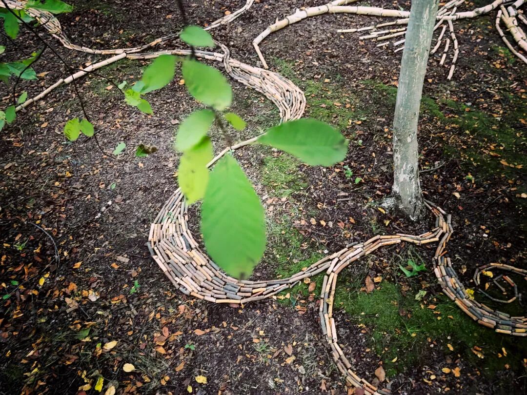 相机afc怎么调九月怎么玩儿？带好相机，这样过超快乐！_https://www.jmylbn.com_新闻资讯_第47张