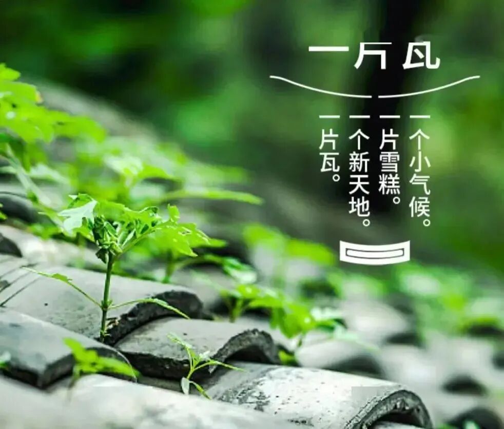 2亿支到欠薪,退租,钟薛高给了消费品牌哪些启示?