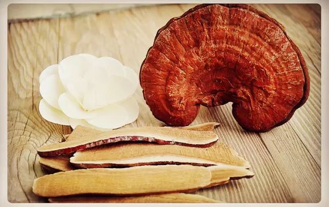 灵芝“四快”：快食！快眠！快便！快动！