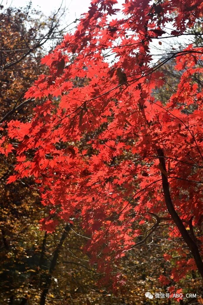 首尔北汉山城：李氏朝鲜的备用古城