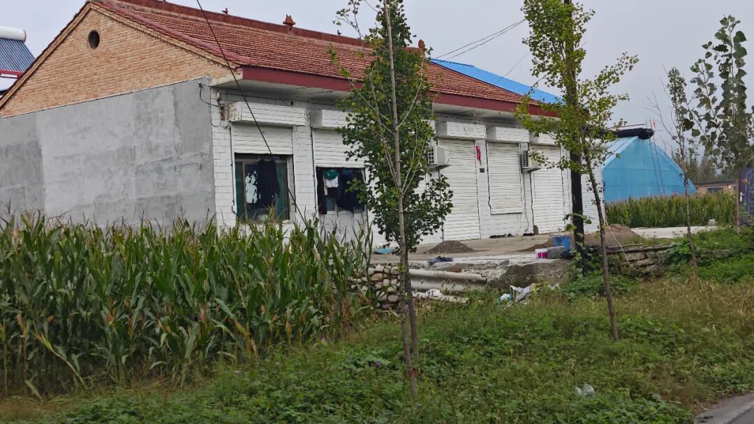 圣运律师