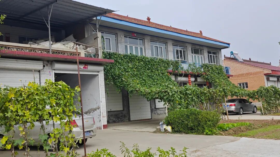 圣运律师