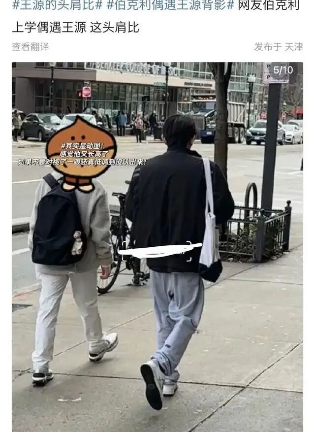 函数要凉了?00后小花卖身瓜?王源大学延毕?