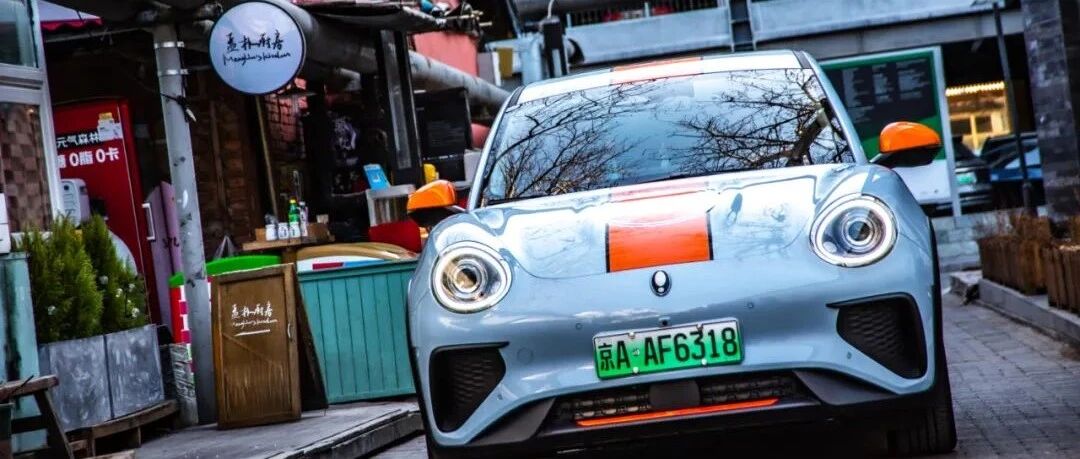 视频 || 养欧拉好猫三个月，劲哥有些话想说