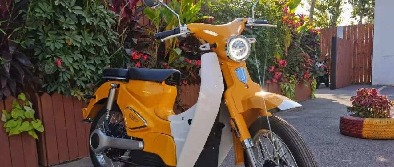 它够靓而且不贵！那么你会为这个电动版“幼兽”买单吗？