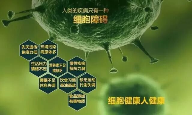 肽来提高免疫力，全面又“高效”！