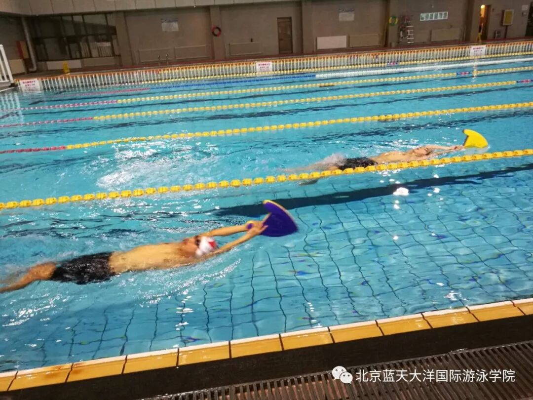 游泳教练培训班