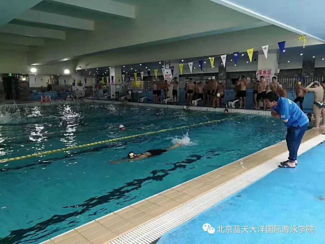 游泳教练培训班