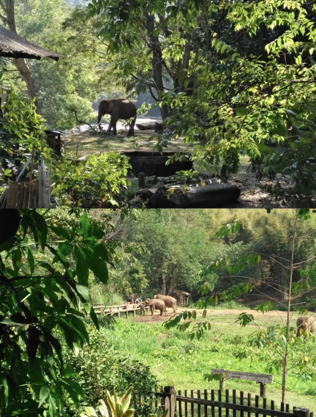 超全泰国旅游攻略，都是干货，收藏就对了！