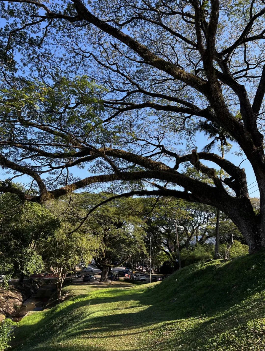 超全泰国旅游攻略，都是干货，收藏就对了！