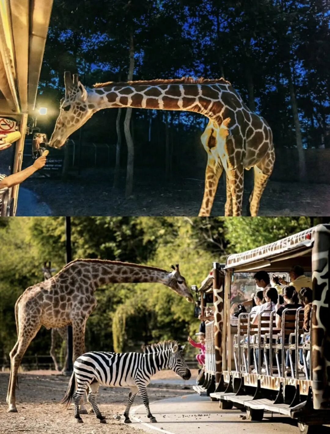 超全泰国旅游攻略，都是干货，收藏就对了！