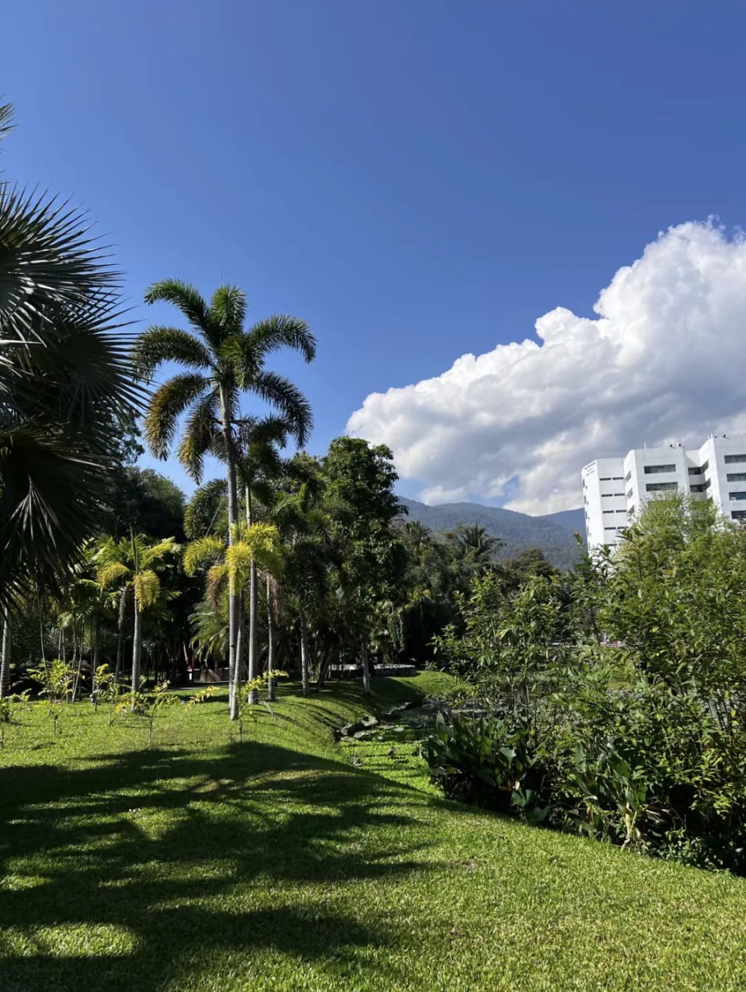 超全泰国旅游攻略，都是干货，收藏就对了！