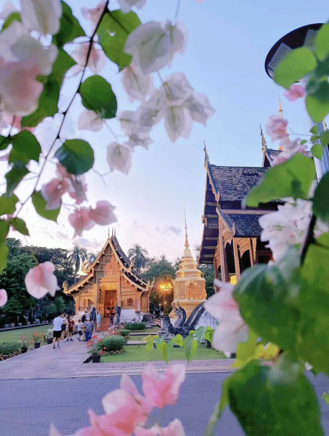 超全泰国旅游攻略，都是干货，收藏就对了！