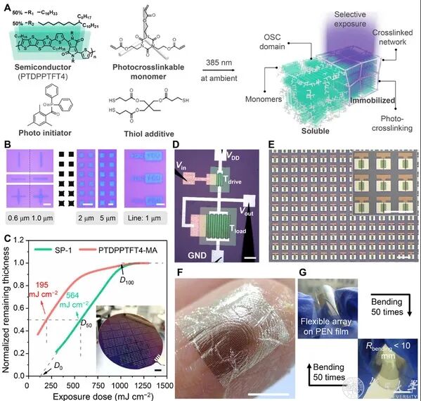 复旦大学魏大程研究员团队等《Sci. Adv.》：研发半导体性光刻胶的图1