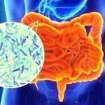 肠道纪录片：人体70%的免疫系统，“活” 在你的肠道中