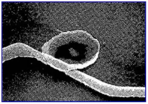 保护IGBT和MOSFET免受ESD损坏的图3