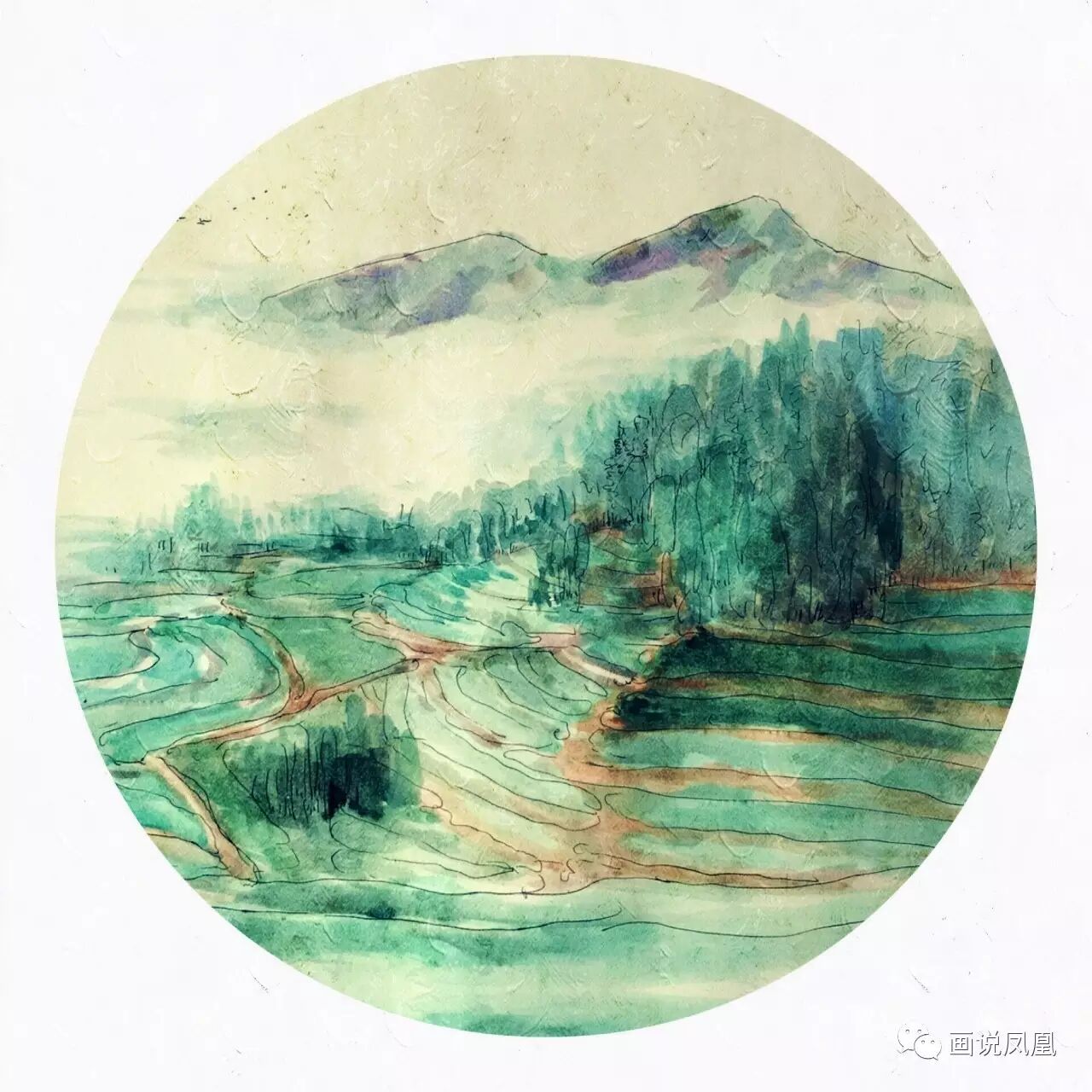 又是一年采茶季画说凤凰万亩茶园春意浓一