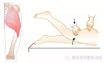 怎么评估病人肌力运动功能检查｜肌力评估_https://www.jmylbn.com_新闻资讯_第26张