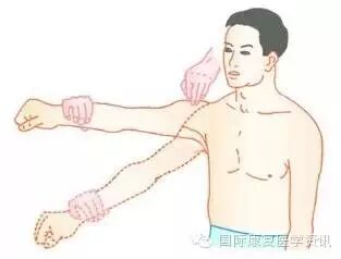 怎么评估病人肌力运动功能检查｜肌力评估_https://www.jmylbn.com_新闻资讯_第14张