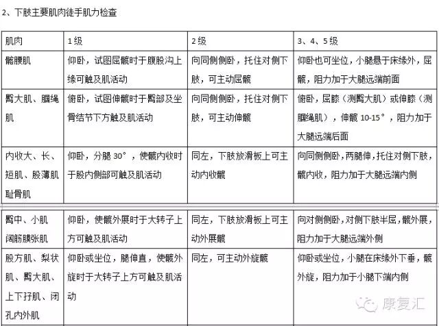 怎么评估病人肌力徒手肌力评估MMT（含评定分级标准及方法）_https://www.jmylbn.com_新闻资讯_第12张