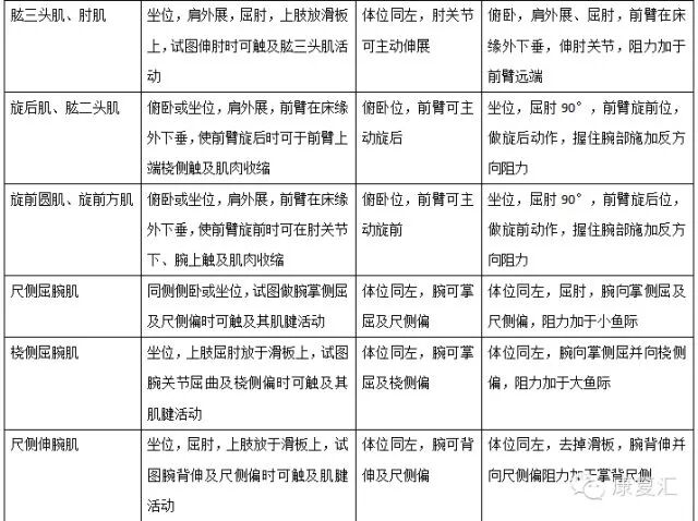 怎么评估病人肌力徒手肌力评估MMT（含评定分级标准及方法）_https://www.jmylbn.com_新闻资讯_第9张