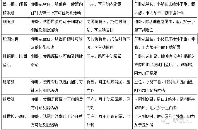 怎么评估病人肌力徒手肌力评估MMT（含评定分级标准及方法）_https://www.jmylbn.com_新闻资讯_第13张