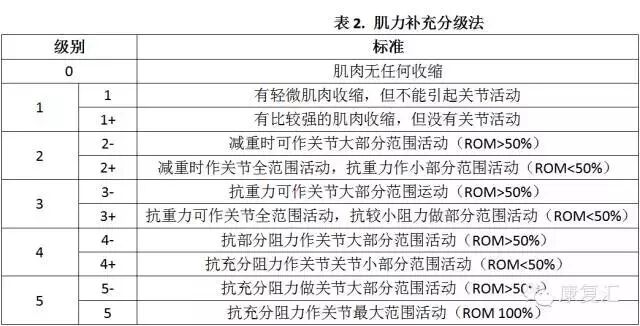 怎么评估病人肌力徒手肌力评估MMT（含评定分级标准及方法）_https://www.jmylbn.com_新闻资讯_第6张