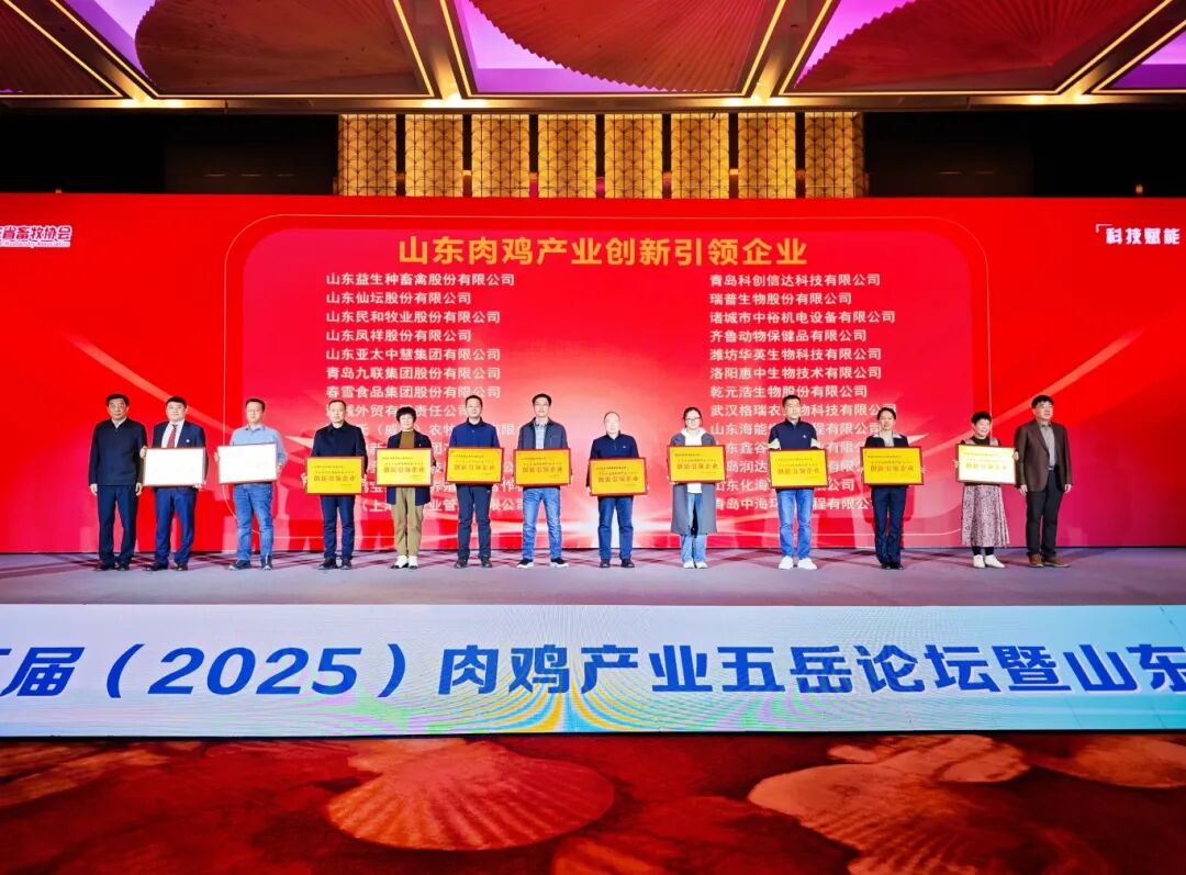 山东肉鸡产业创新企业.jpg