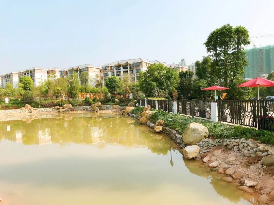 【 百盈花园】大片曝光!