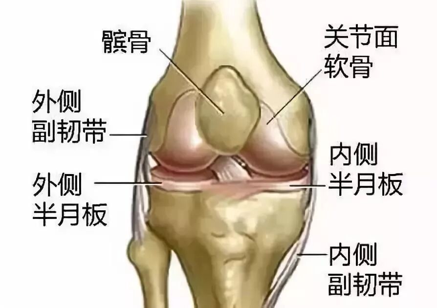 天冷膝盖痛？4个动作缓解