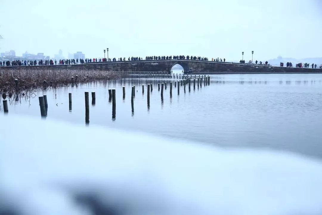 暴雪！暴雪！浙江大片大片雪花飄落，你看到了沒！更猛降溫還在後頭 遊戲 第32張