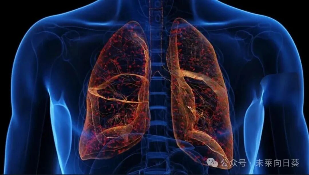 肺结节被攻克！美国“清肺剂”走热京东，业内：真科技！